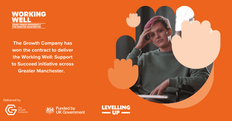 Working Well: Support to Succeed programme